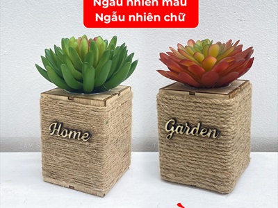 Chậu sen đá vuông quấn dây thừng để bàn [Nhiều kiểu] CHAUCAYGIA-20